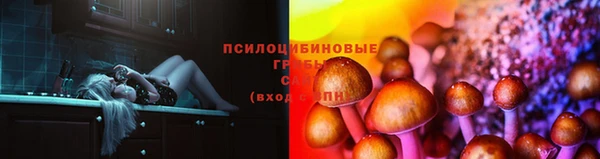 герыч Абаза