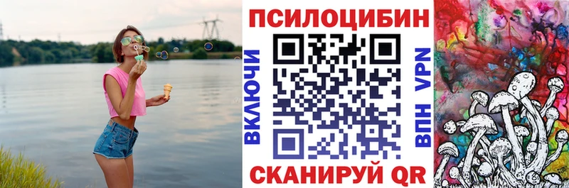 блэк спрут как зайти Белоозёрский Псилоцибиновые грибы GOLDEN TEACHER